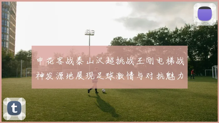 申花客战泰山汉超挑战王刚电梯战神发源地展现足球激情与对抗魅力