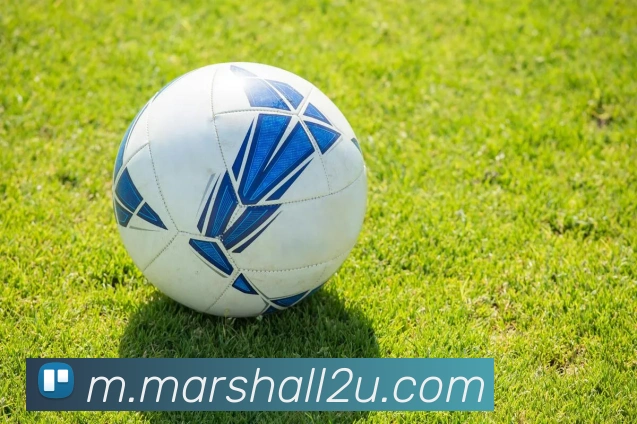 APP界面展示
